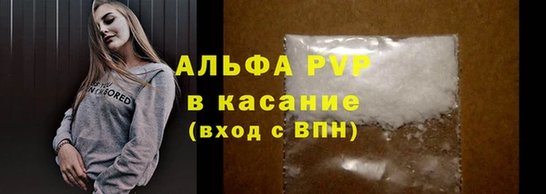 индика Балахна