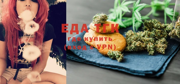 индика Балахна