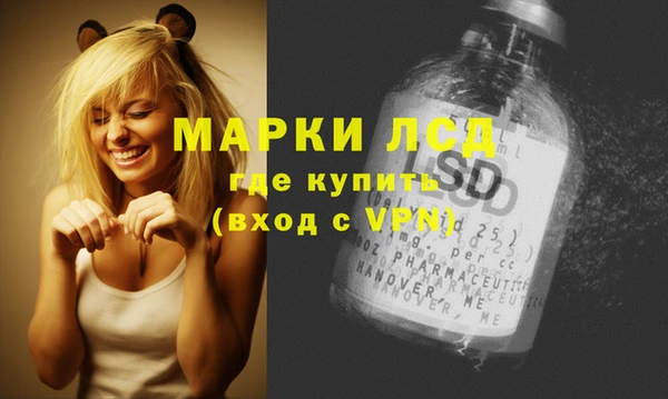 индика Балахна