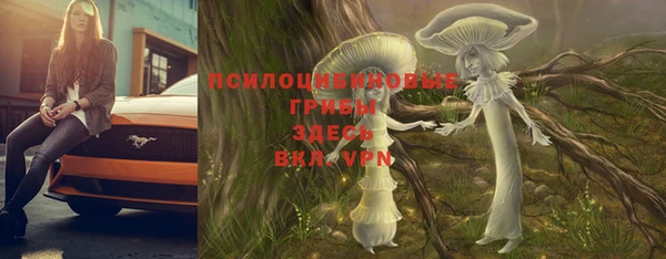 индика Балахна