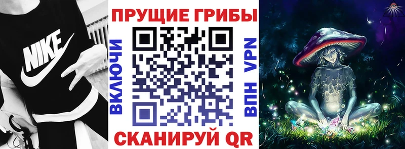 дарнет шоп  Лабинск  Псилоцибиновые грибы ЛСД 